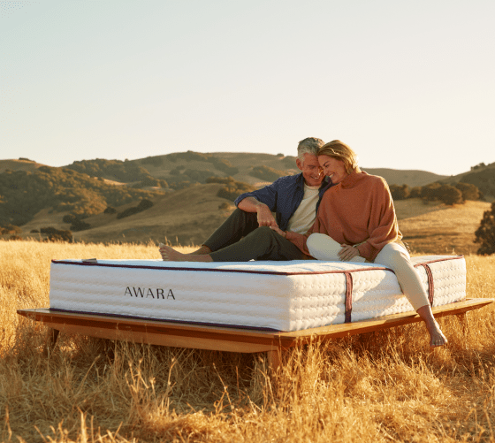 Awara_Premier_11A_model_1147-1 Awara mattress